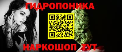 твердый Гай
