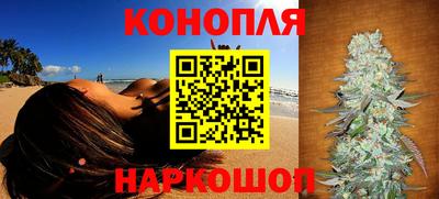 крисы Гагарин