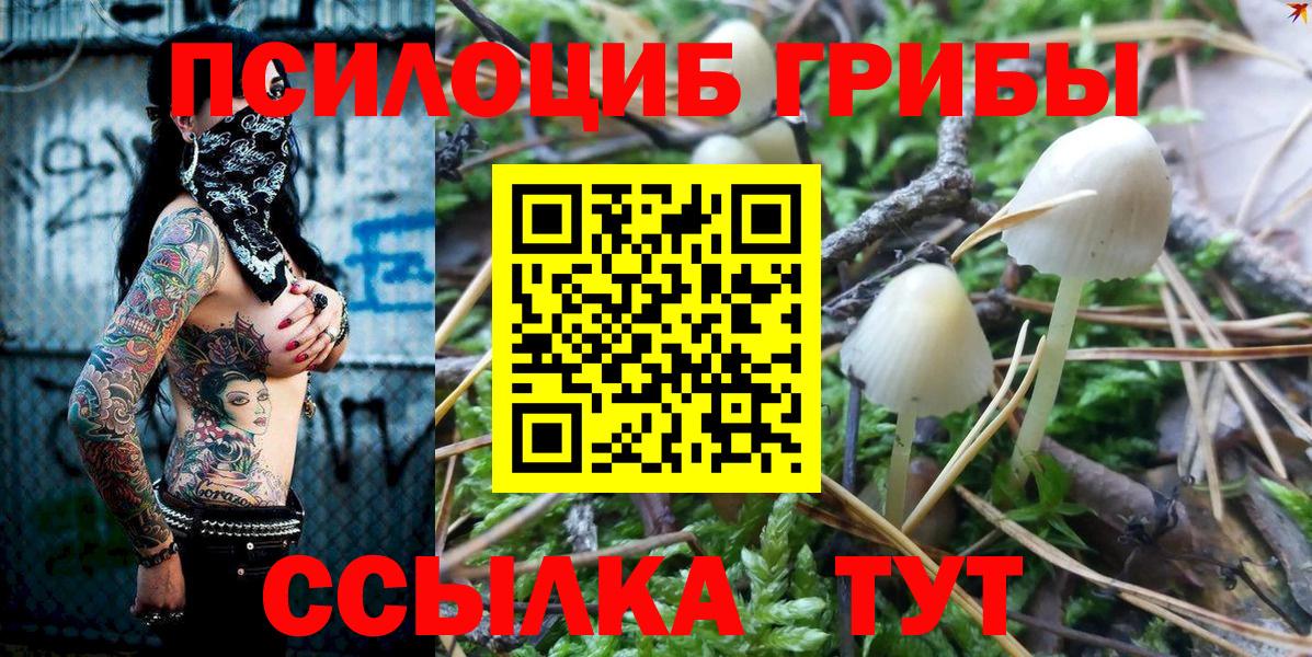 Галлюциногенные грибы GOLDEN TEACHER Орёл